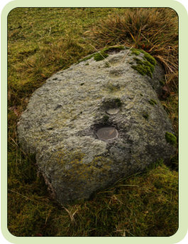 This Shap granite cup stone monument is likely neolithic in date, it bears six cup marks in a curved line.