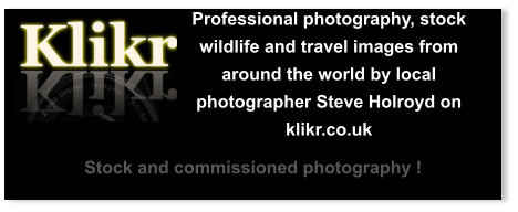 Professional photography, stock wildlife and travel images from around the world by local photographer Steve Holroyd on klikr.co.uk Stock and commissioned photography !