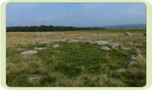 Oddendale Concentric Circle is a rare form