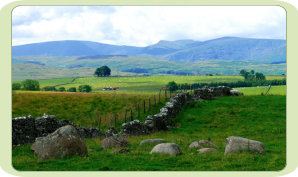 A neolithic ceremonial site, possibly part of a processional way, a putative henge.