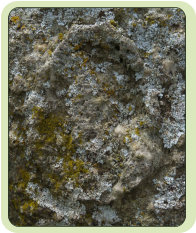 Marked granite megaliths are rare. This rock is extremely hard.