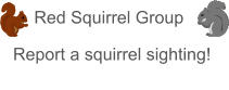 Red Squirrel Group Report a squirrel sighting!