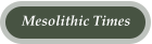 Mesolithic Times
